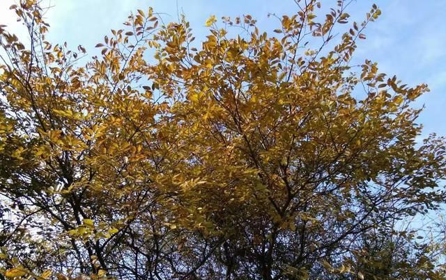 未来|未来农村将会有这两大变化