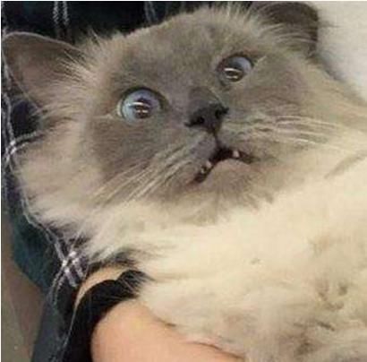 佛山|因为一件球衣，他逃亡了7年！在佛山落网了！