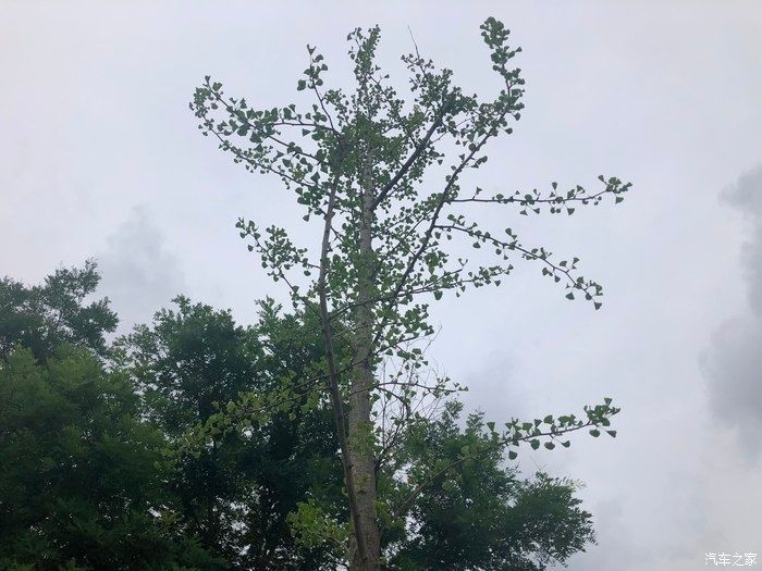  RAV4|初心不改，一眼万年，RAV4荣放提车半年使用有感