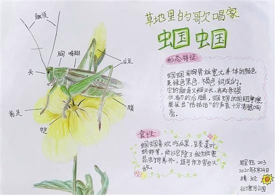 天文学家|科学阅读 | 星空真的浩瀚无边吗？要不要为梦想而冒险？孩子的想法值得读