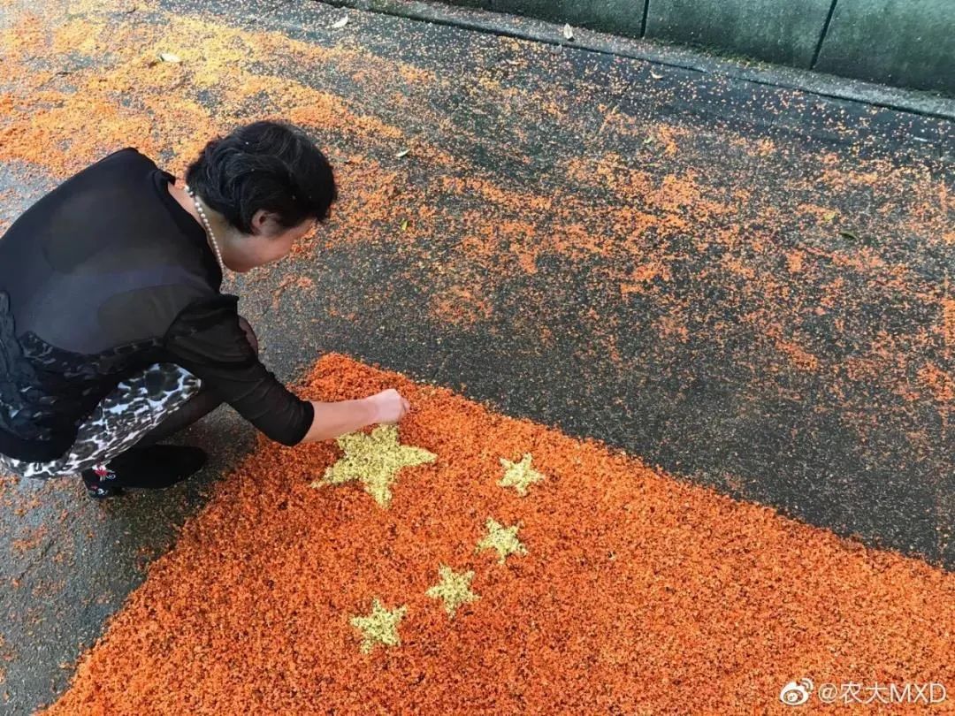 高中同学|致各位小学初中高中同学：慢点结婚，钱包快不够用了
