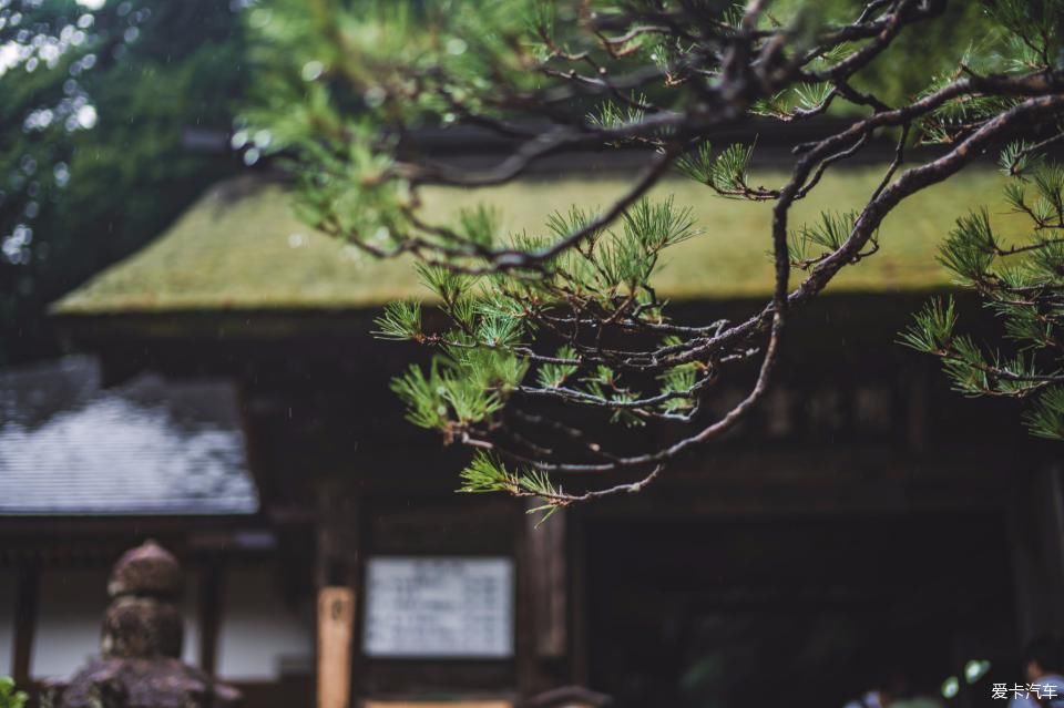 解锁|去鲁迅先生留学的仙台看一看——解锁日本小众目的地