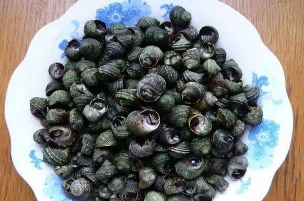 今日|今日开海!这84种海鲜,你都认识吗?你真的会吃海鲜吗?