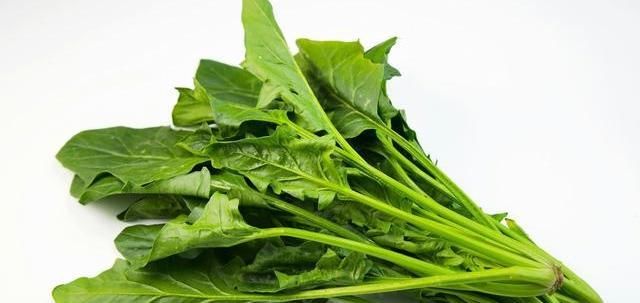  炒青菜|不管啥青菜，炒时牢记这3点，青菜翠绿不发黄，口感更鲜嫩