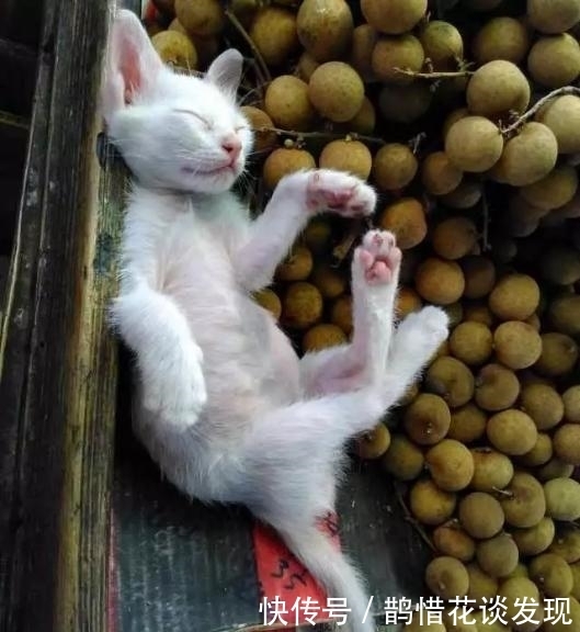 时不时|开心一刻:有一同事挺有钱,时不时就有人问他借一点应急什么的