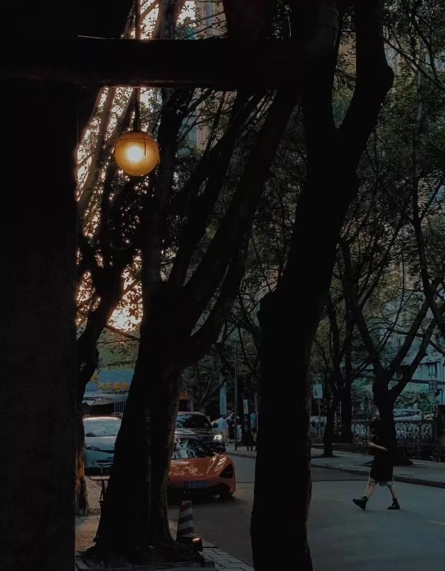 咖啡馆|散步去咖啡馆的人