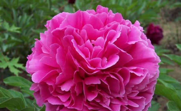  月底|8月底“财运爆棚”，贵人恩宠，家财满堂红的3生肖！