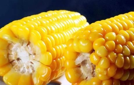  技巧|煮玉米时，清水下锅是不对的，教你1招技巧，玉米软糯更香甜