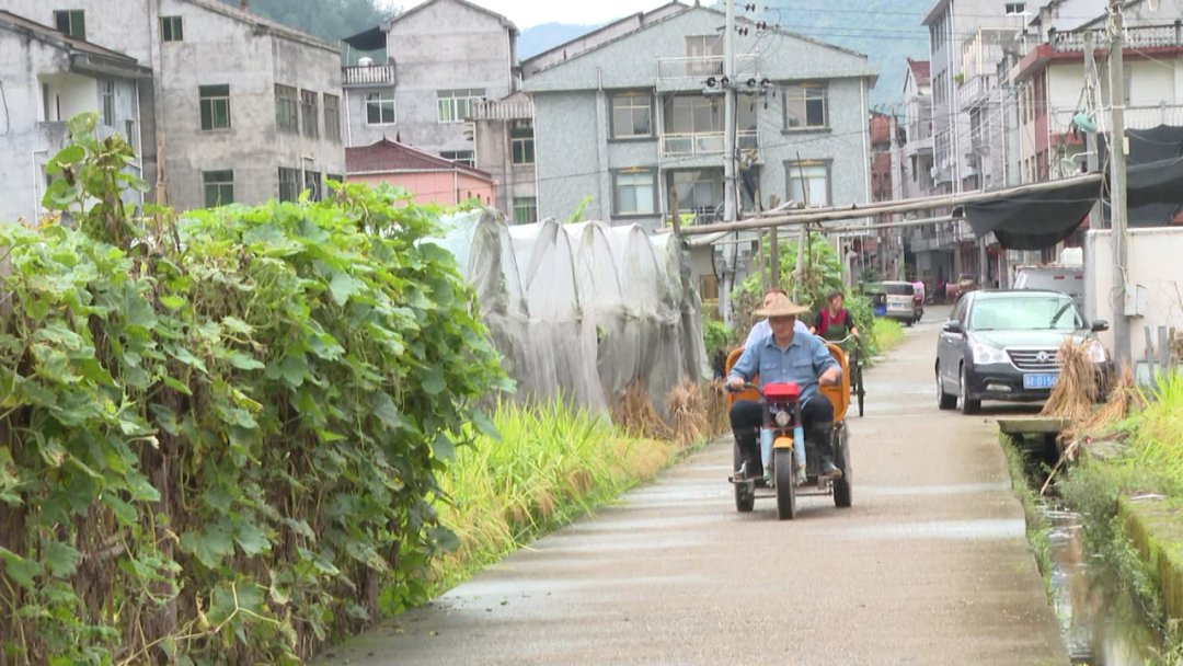  饶宏勋|青田这个地方的瓜，竟然会自己“爆炸”！你吃过吗？