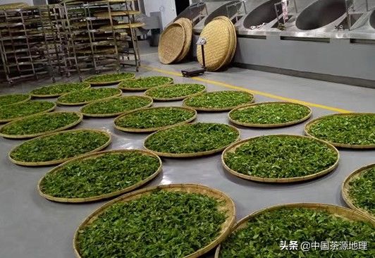 好坏|如何辨别茶叶的好坏？学会了这4种方法，轻松买到好茶