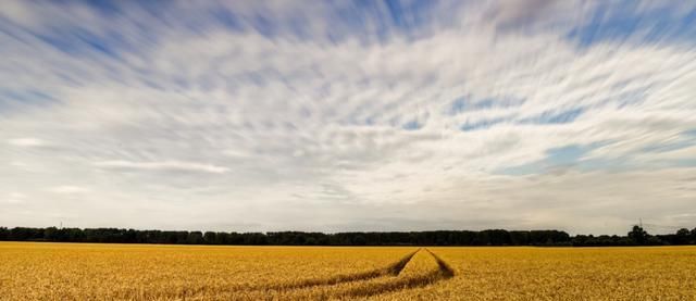  生肖|7月底，爱过痛过，无法放过，3生肖执着旧情人，勇敢将你拥入怀中
