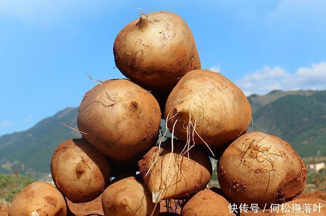 恰到好处|秋季干燥，遇到这4种水果可以多囤点，香甜水分足，咬一口就爆汁