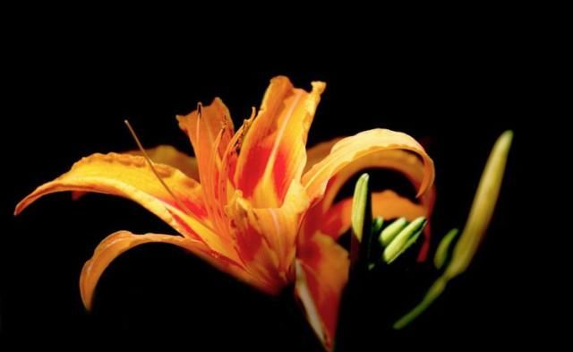  贵人相助|八月初，贵人相助，旗开得胜，爱情如意，喜事连绵不断的四大生肖