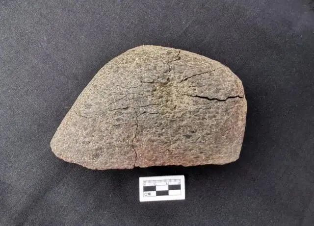  重建|一中学重建足球场，发现3000㎡古墓，单坑19颗头骨