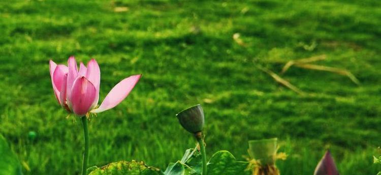  不愁|8月开始财帛如雨，前程似锦，日子有钱不愁的四大生肖