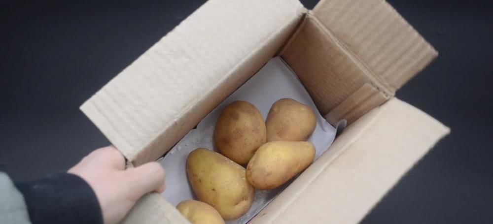 黑色塑料袋|今天才知道,原来保存土豆这么简单,放半年不发芽不干瘪,真实用