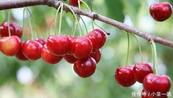 皮肤|女人皮肤差不用紧张!每天当零食吃3个,补血益气,脸色红润透亮