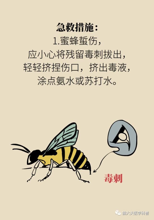  常识|人民日报总结14个急救常识，快收藏！