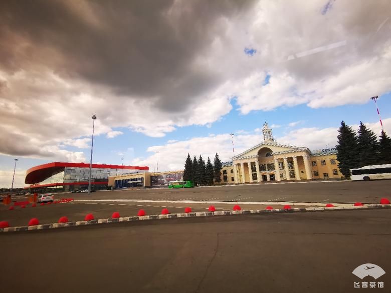 好看|拔草俄航95周年彩绘机！外观和机舱超好看，难怪有近9成上座率