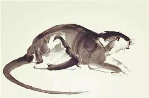  冷眼|宋朝1乞丐，备受亲戚冷眼，在街上看见一老鼠，次日竟变成大富翁