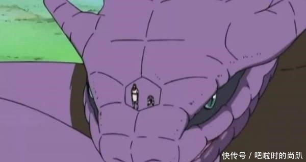 自来|三忍之中,为什么大蛇丸害怕万蛇,自来也害怕文太,纲手却没事?