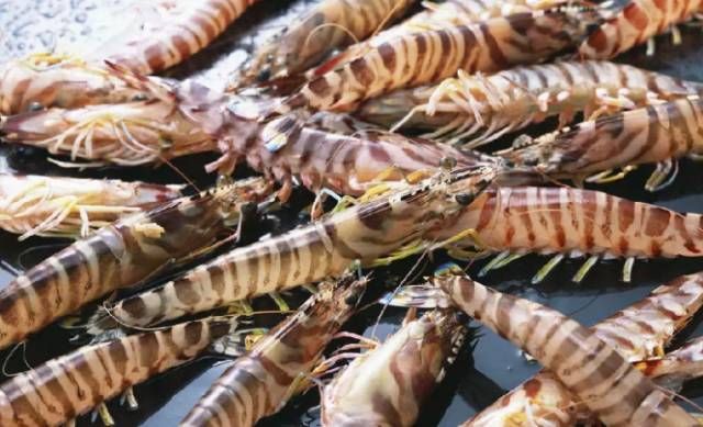 今日|今日开海!这84种海鲜,你都认识吗?你真的会吃海鲜吗?