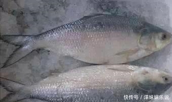 海鲜|海鲜大全, 你能认出多少