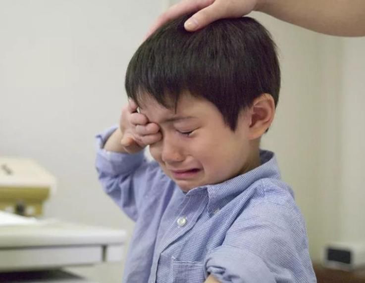  孩子|孩子的逆商：比智商更高级，比情商更重要，决定了一个人的高度