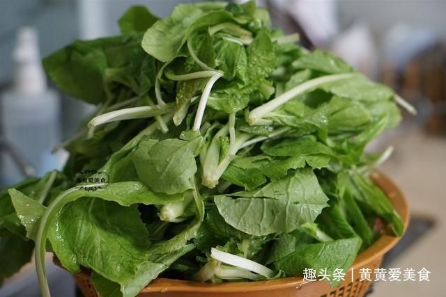 饺子皮|入秋后,这菜两块一斤,包饺子皮薄大馅,个顶个的鲜,太香啦