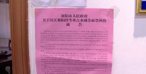 文明实践站|织牢“禁渔网”、打好保卫战，过渡湾镇重拳治理水生态！