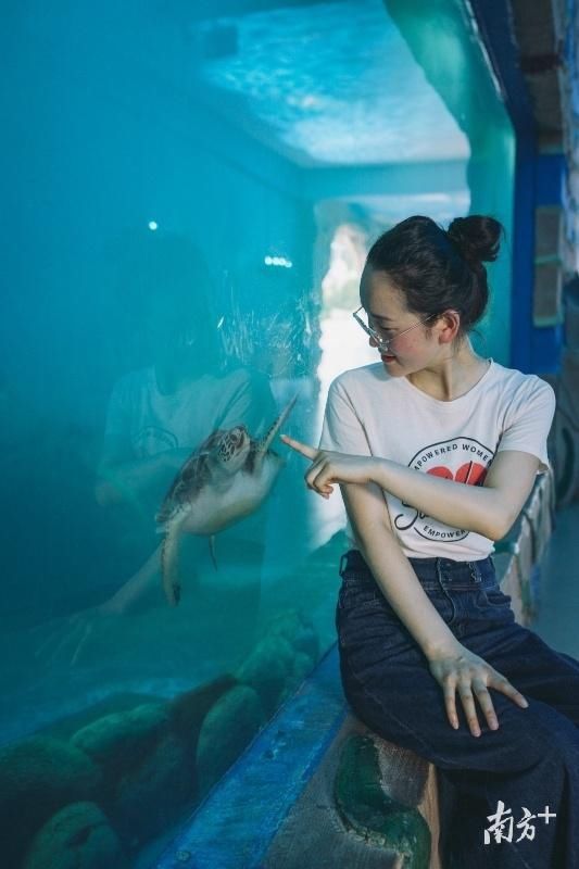 广东|广东野生龟，需要加强保护吗？