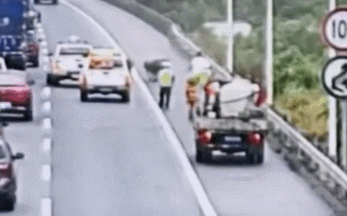  车辆|五头黄牛闯上高速，过往车辆纷纷避让！交警发“寻主启事”！