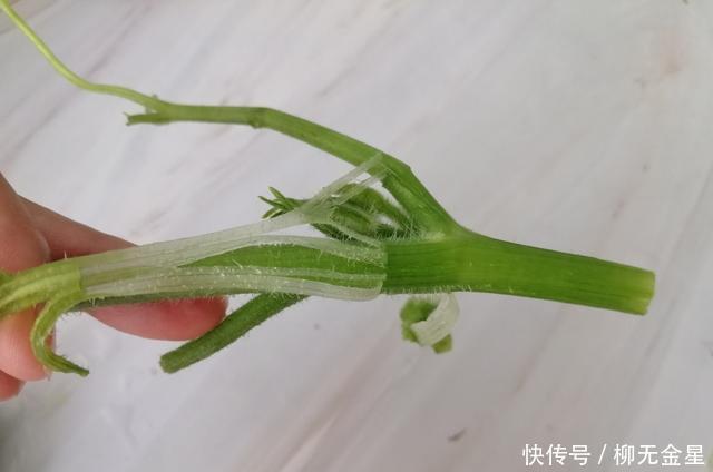 特别|这菜是个宝,可惜很多人不懂扔掉了,清热解暑,清脆爽口,正当季