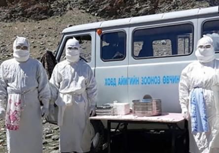  县公共卫生|雪上加霜？美国发现患有黑死病的松鼠引恐慌，专家：可传染致命