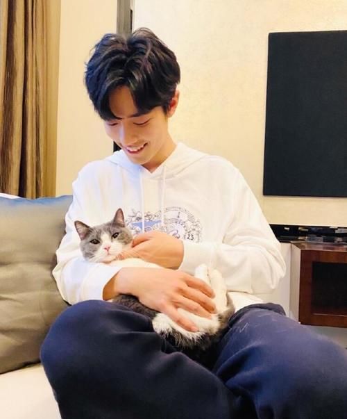  小编|大快人心！肖战《奇妙之城》上线日期曝光，面对黑粉官方态度强硬