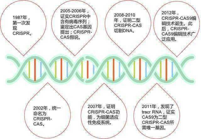 诺贝尔化学奖|2020年诺贝尔化学奖：基因编辑