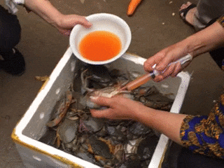 太狠|搞笑GIF:你们太狠了!整这么惨!还没举行仪式呢!