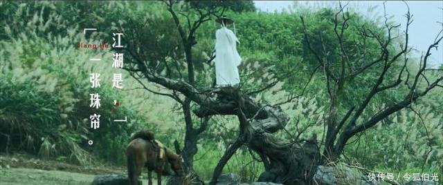 逆转|从无陈坤不看,到预告好评如潮?剧版《雪中悍刀行》口碑为何逆转