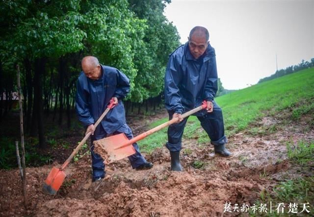 床铺|当年三根棍子当床铺，七旬老人每天12小时坚守大堤