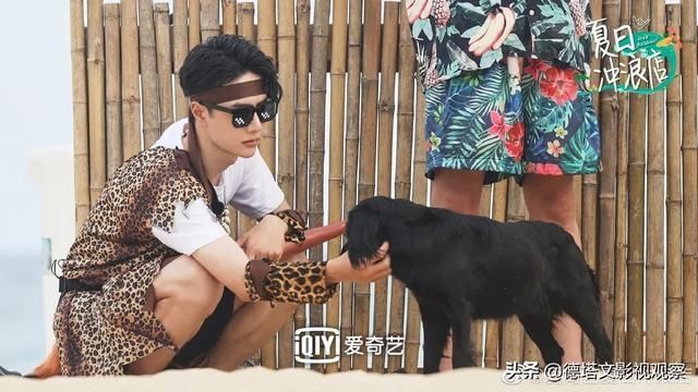  周榜|周榜35|琉璃热播成毅登顶网络影响力榜，谭松韵张新成演技好评