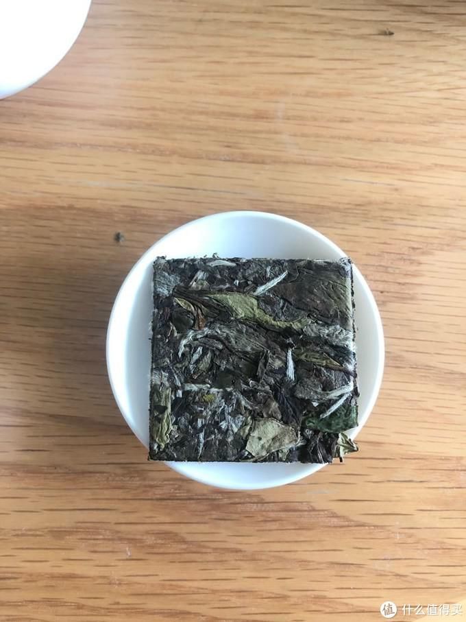 白茶|福鼎白茶入门小记