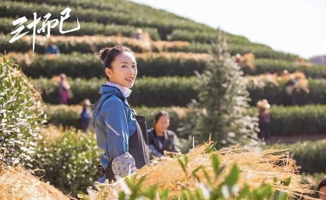  顾佳|三十而已：结局完美，三人各自找到归宿