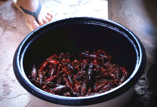 水晶|李子柒教粉丝做“水晶蒸饺”,看清她包的馅料,网友:有钱人家!