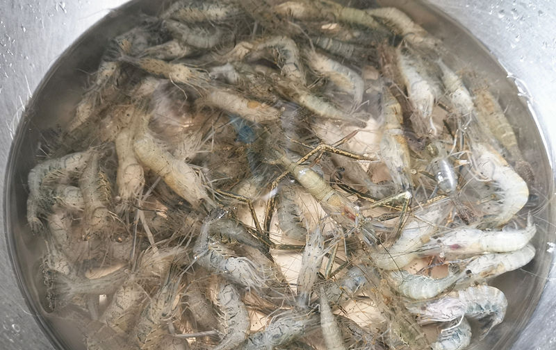 味道鲜美|河虾这么好吃,做法这么简单,不炒不炸味道鲜美,快来试试!