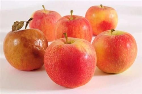  坏桃|赵丽颖以身试法“坏桃不能吃”，只坏了一点的水果，只能扔掉吗？