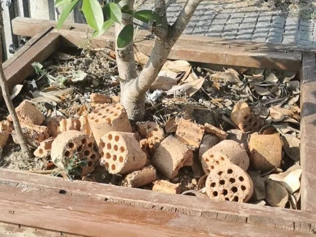 现象|文明创建曝光台丨今天曝光这些不文明现象！