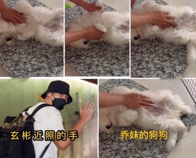  女方|世纪复合成真？宋慧乔玄彬被曝深夜约会，女方遛狗视频也有玄机