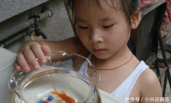  澳洲龙虾|幼儿园让小朋友带龙虾，第二天，家长永远忘不了老师看我的眼神