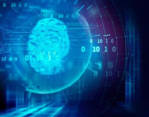  无所遁形|27年前的凶杀案，通过两项尖端技术得以破获，犯罪分子无所遁形