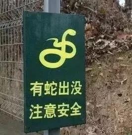  局部伤口|蛇出没！井陉一19岁女孩被咬伤，腿脚肿痛、伤口又疼又麻！全城急寻蛇毒血清